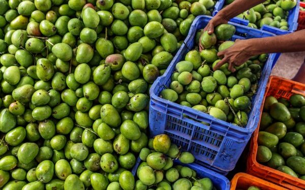fruit consumption india getty