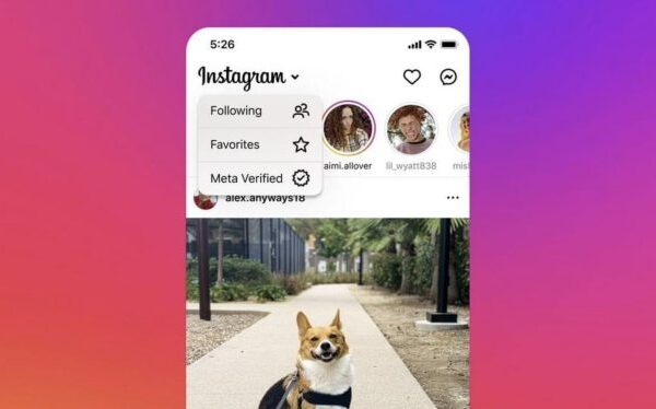 instagram verified feed 1 e1698668744849