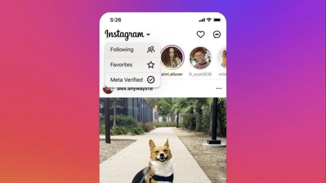 instagram verified feed 1 e1698668744849